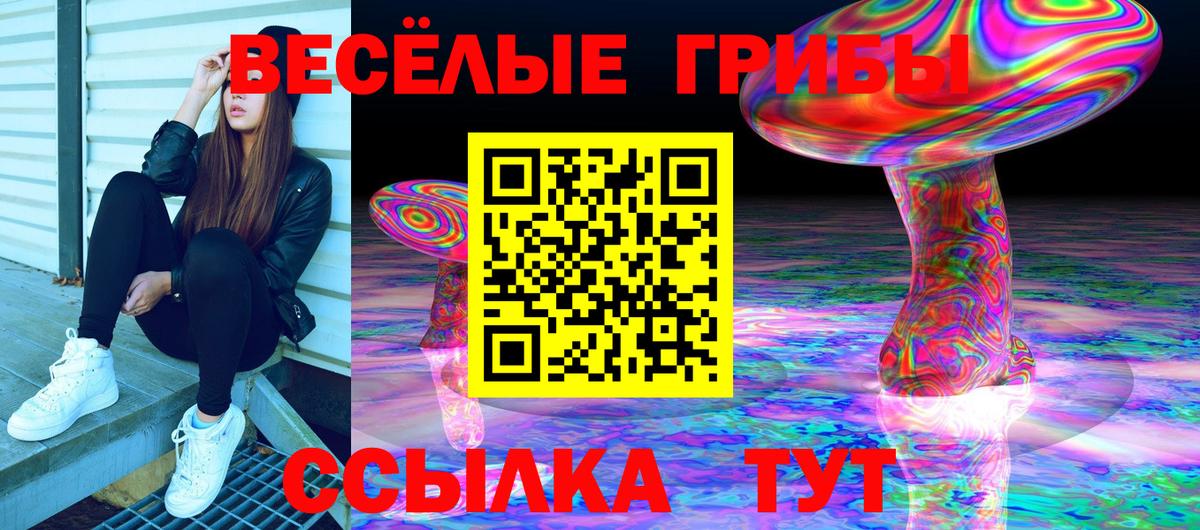 Мирный  Галлюциногенные грибы прущие грибы  Вход с VPN 